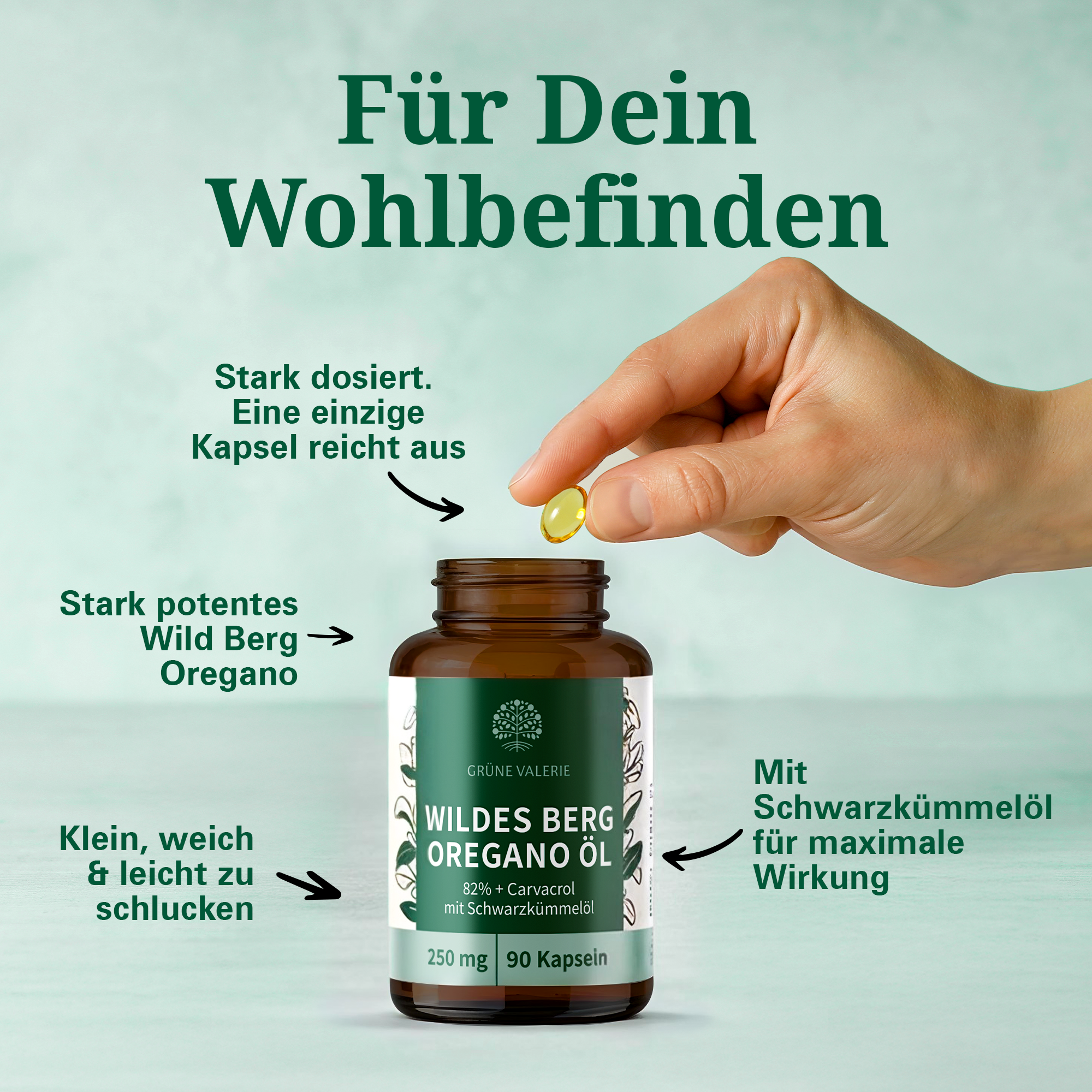 Bio Oregano Öl Kapseln