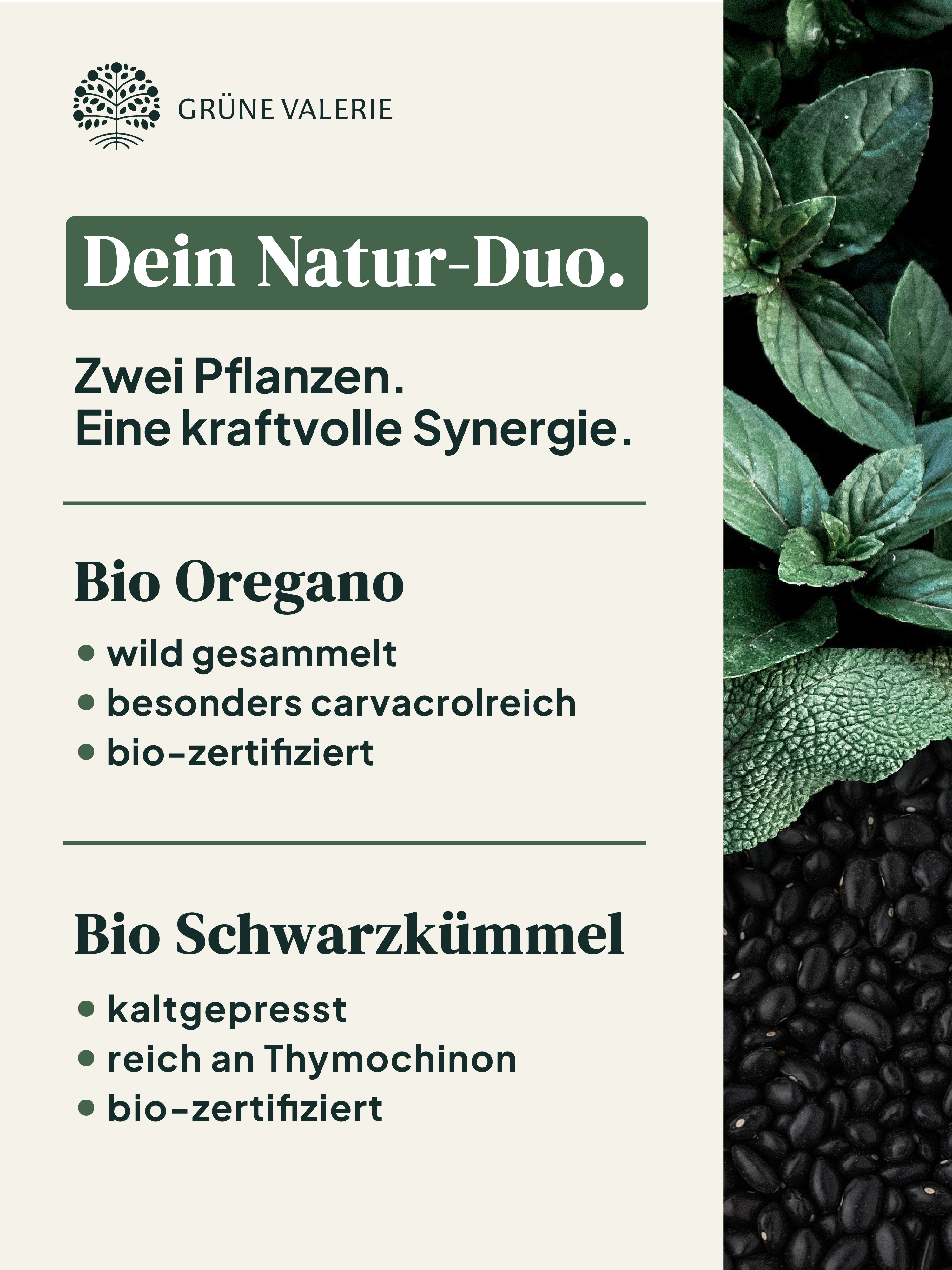 Bio Oregano Öl Kapseln (Vegan)