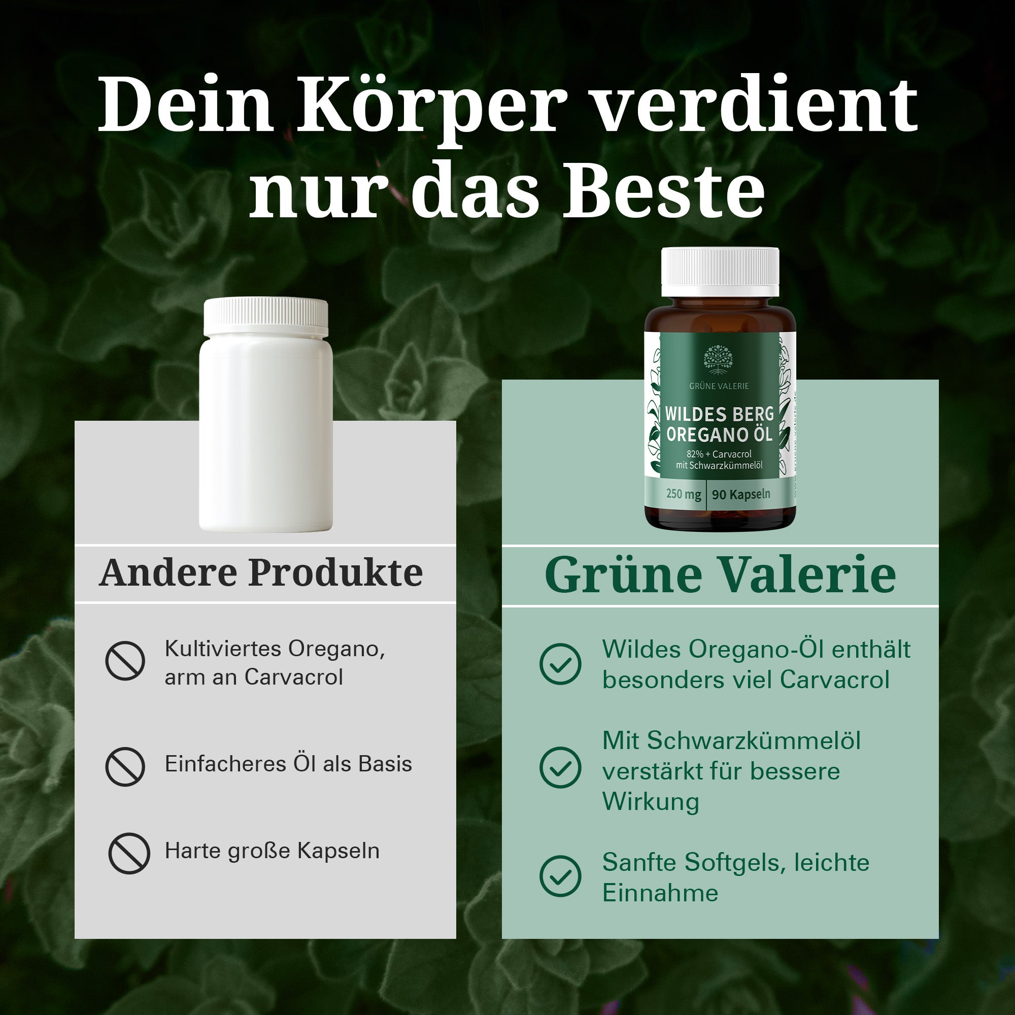 Bio Oregano Öl Kapseln