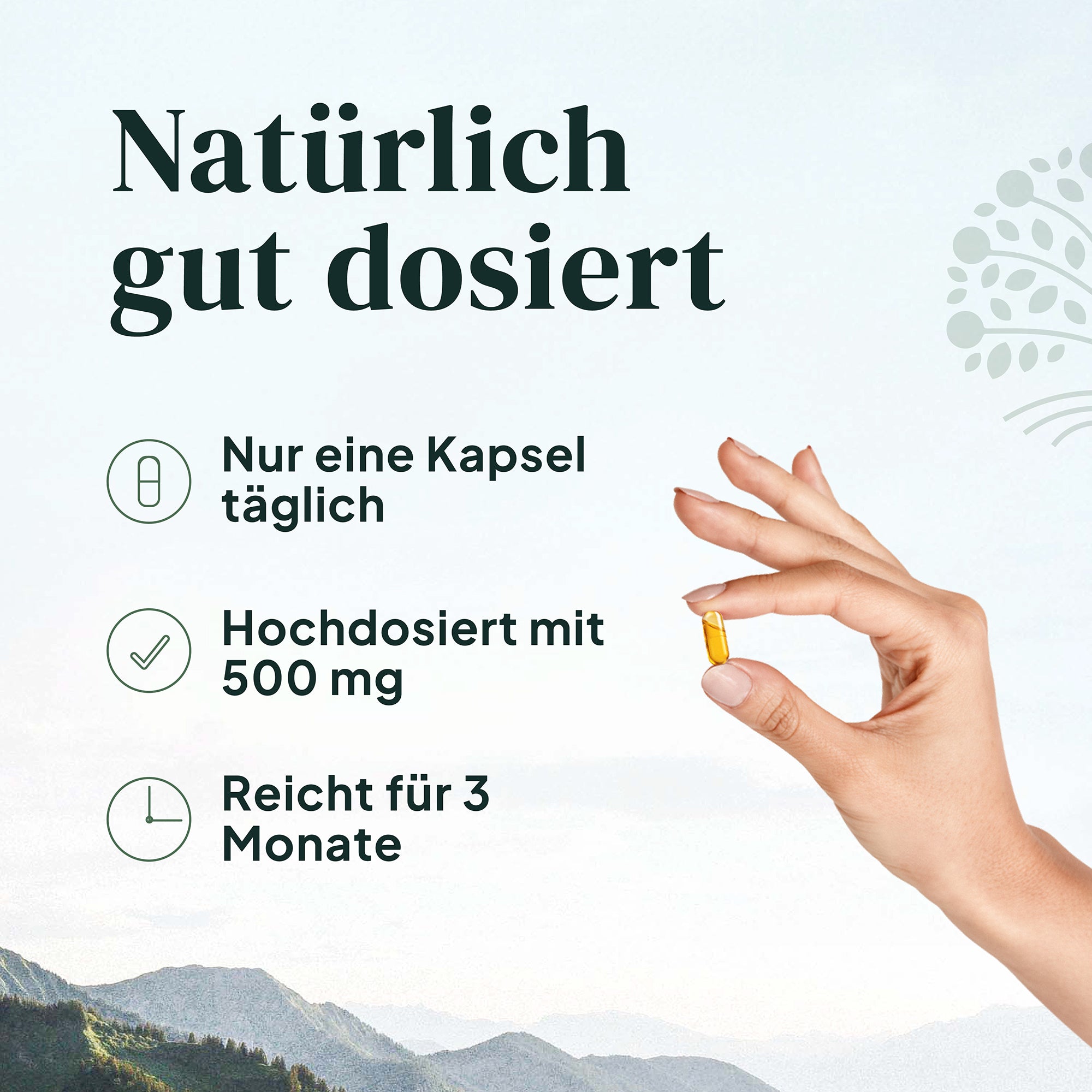 Bio Oregano Öl Kapseln (Vegan)