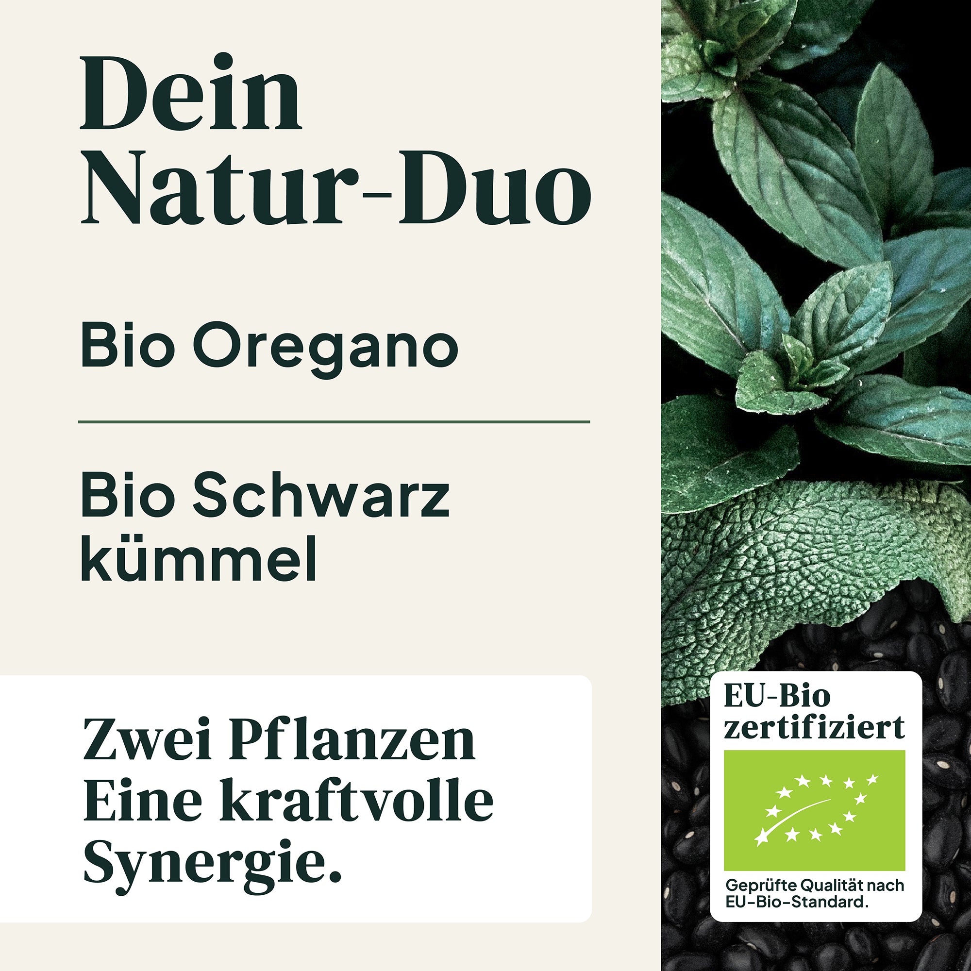 Bio Oregano Öl Kapseln (Vegan)