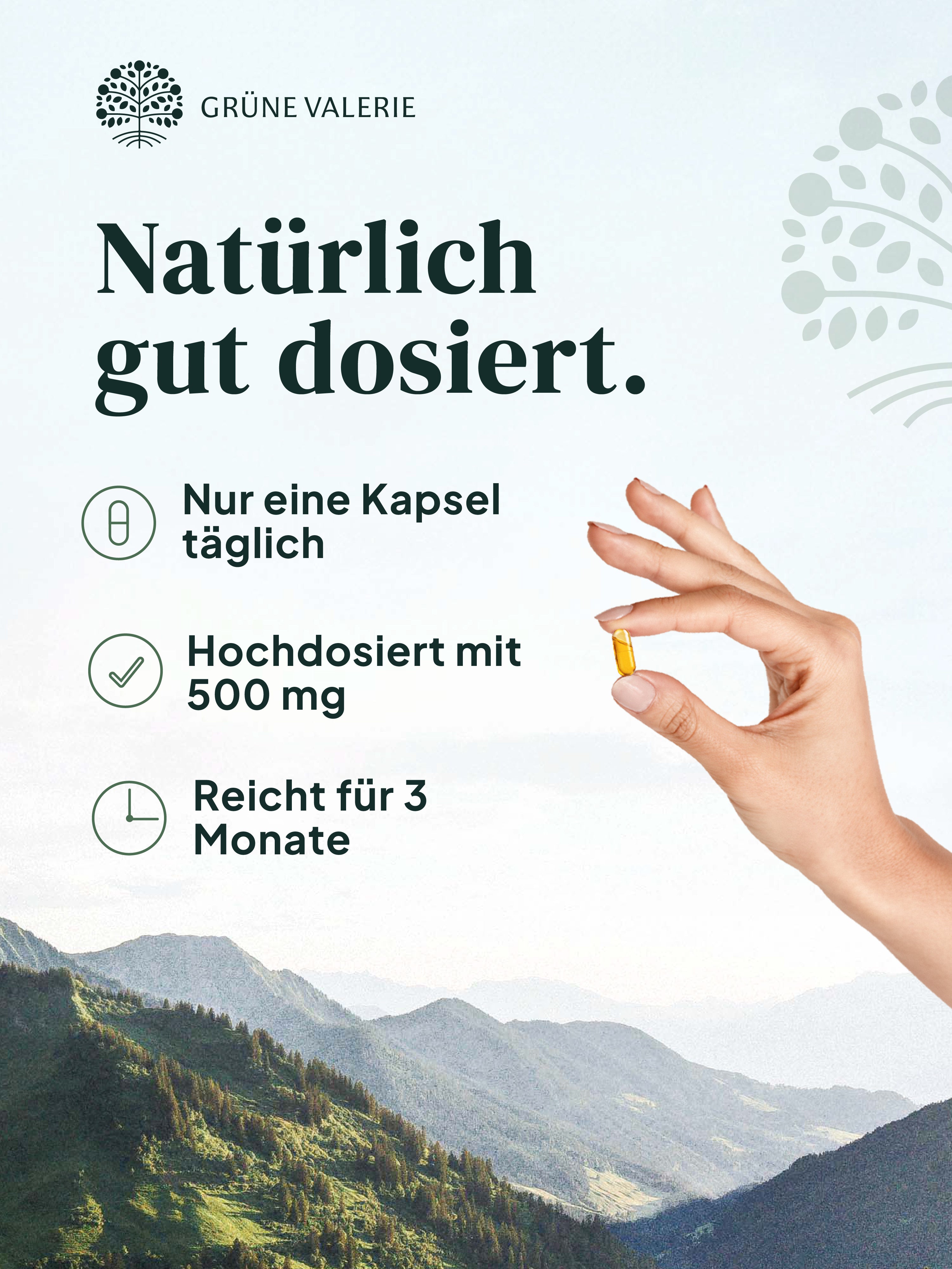 Bio Oregano Öl Kapseln (Vegan)