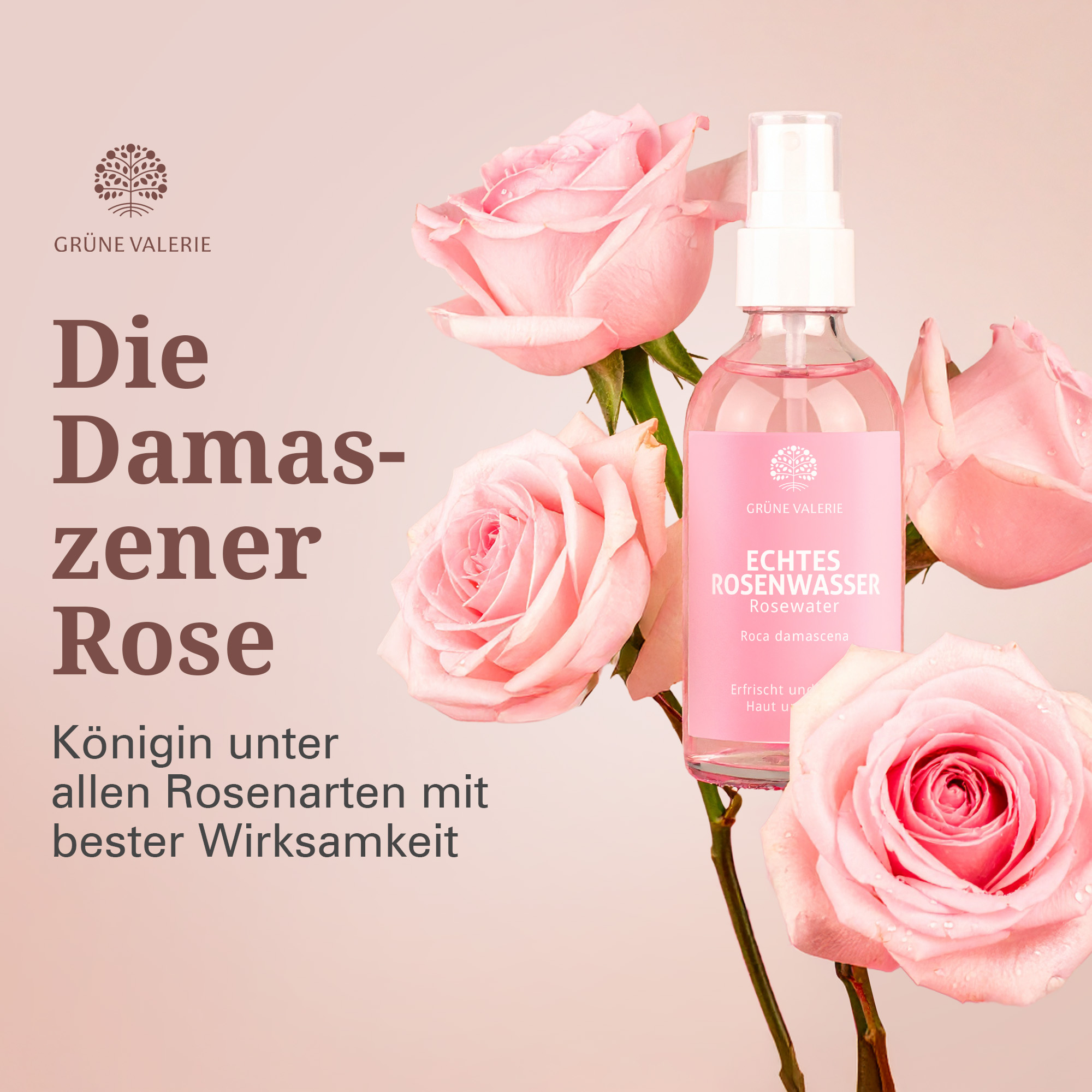 Rosenwasser Spray - XXL 300 ML