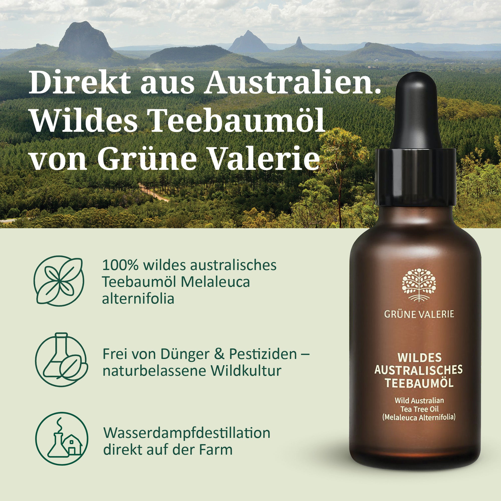 Wildes Teebaum öl